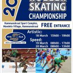 Skating2