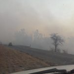 WhatsApp Image 2018-09-06 at 17.10.50