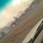 WhatsApp Image 2018-09-06 at 17.10.52