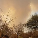 WhatsApp Image 2018-09-06 at 17.10.53