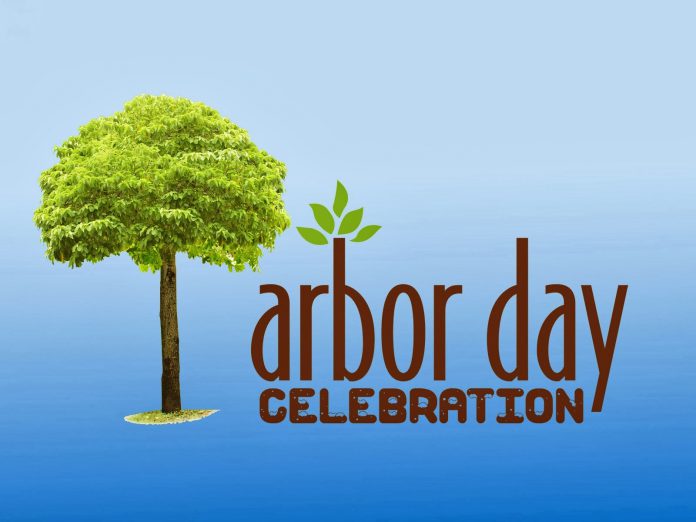 Arbor day
