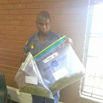 Temba Saps Dagga