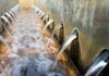 No water for 12 hours as City announces Temba plant shutdown
