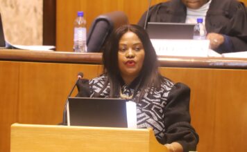 North West Legislature Debates Inclusive Education for Neurodivergent Learners