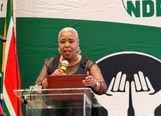 A Legacy of Innovation and Service: Ms Sebokedi-Phetlhu Bids Farewell to Public Service