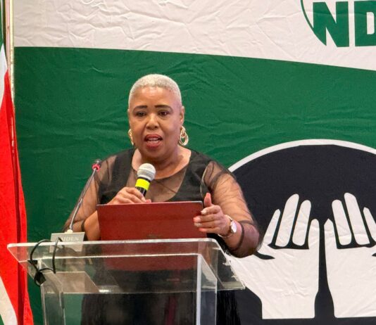A Legacy of Innovation and Service: Ms Sebokedi-Phetlhu Bids Farewell to Public Service