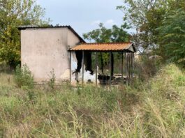 Devastating fire claims house in Temba community