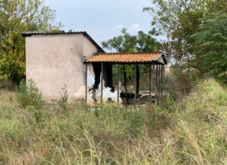 Devastating fire claims house in Temba community