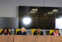 Branding South Africa Xenophobic Has Real Economic and Continental Consequences