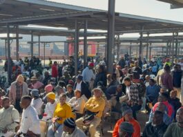 Hammanskraal and the Cost of an Unfinished Provincial Divorce