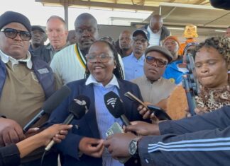 Trapped Between Gauteng and North West, Hammanskraal Commuters Pay the Price as Bus Plan Stalls